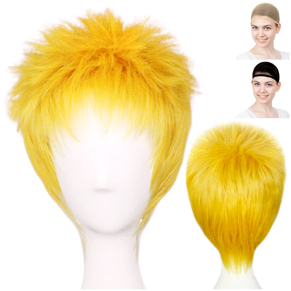 Amazon.co.jp: CaseEden コスプレ ウィッグ コスプレ用ウィッグ